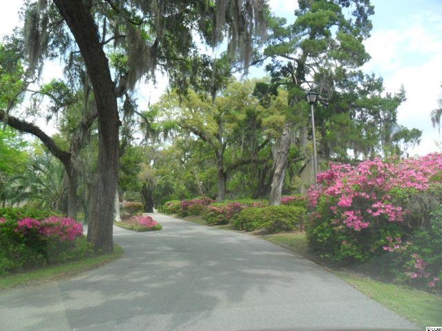 73 Mayrant Bluff Road, Unit 74 Georgetown, SC 29440 - Photo 22 of 25 Gallery Image 22