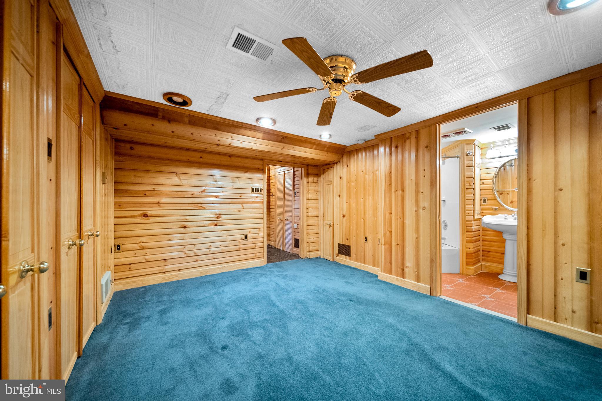 18189 Sands Road Purcellville, VA 20132 - Photo 64 of 145 Additional room in basement with ensuite bath.