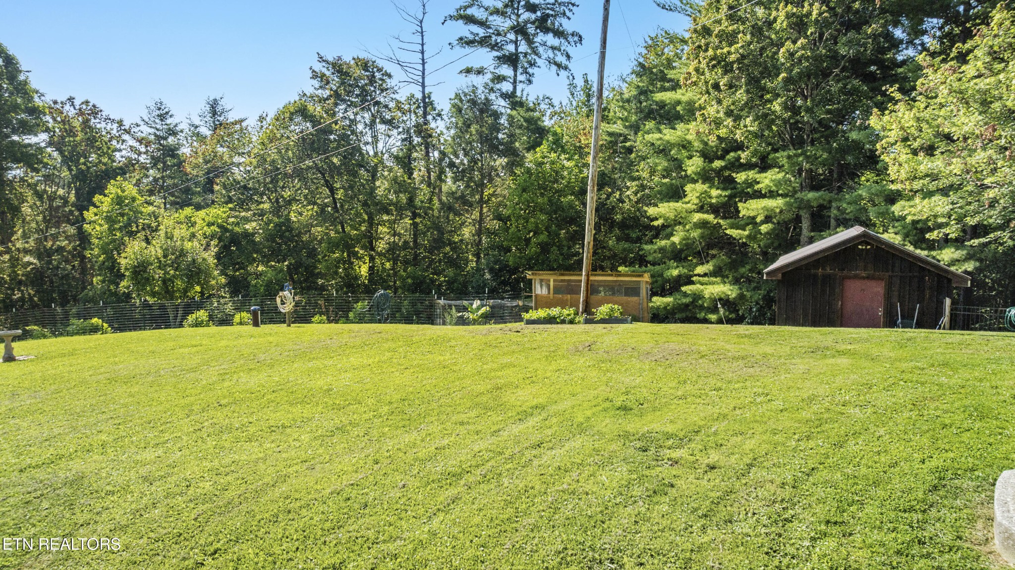 4720 Laws Road Del Rio, TN 37727 - Photo 33 of 37 a view of a large garden with large trees