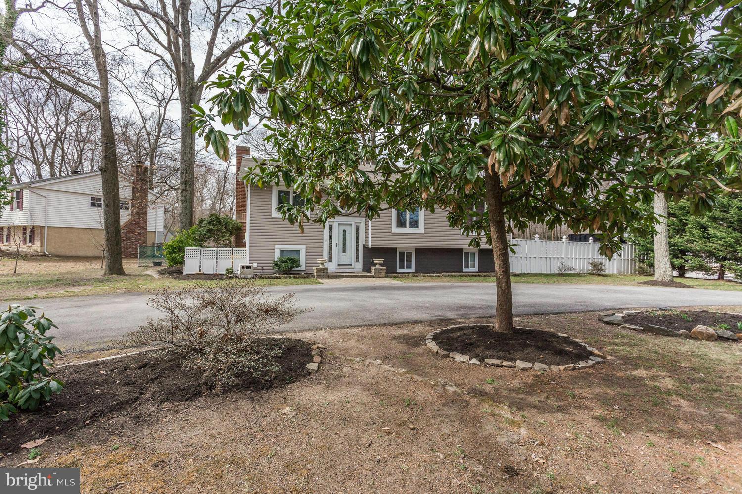 256 Magothy Bridge Road Pasadena, MD 21122 - Photo 2 of 24 a tree in the middle of a yard
