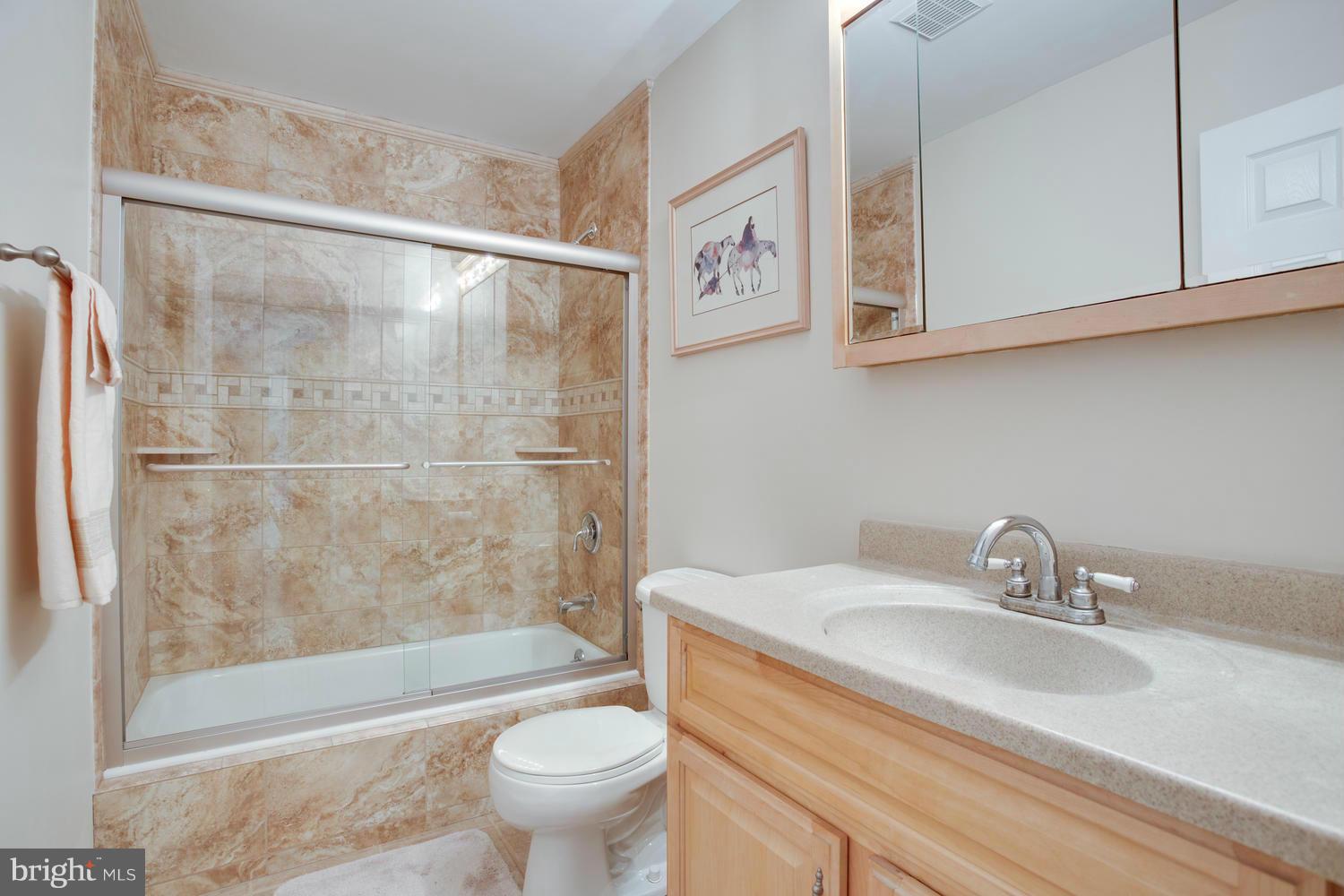 256 Magothy Bridge Road Pasadena, MD 21122 - Photo 14 of 24 a bathroom with a sink toilet and shower