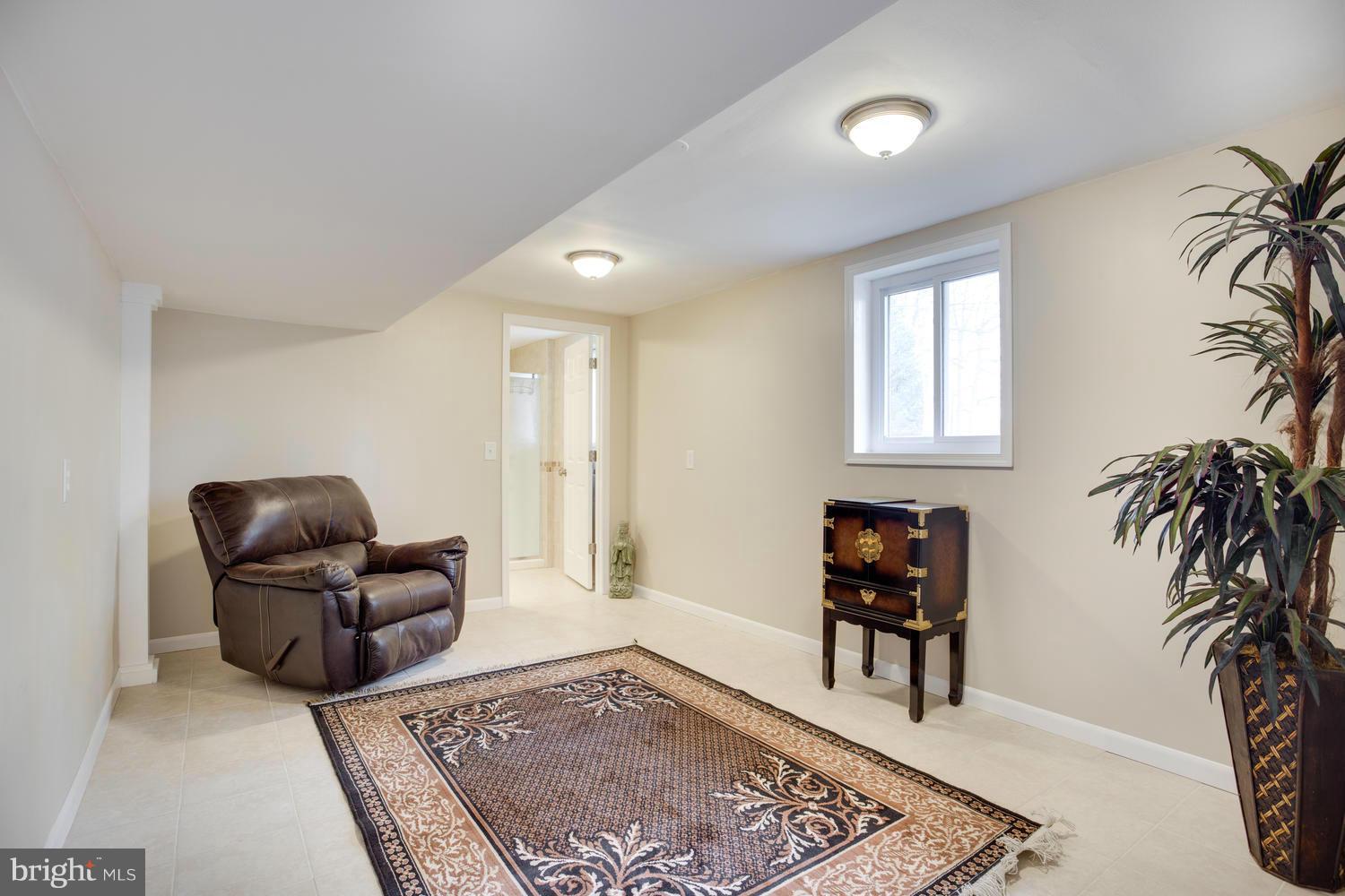 256 Magothy Bridge Road Pasadena, MD 21122 - Photo 20 of 24 a living room with furniture and a rug