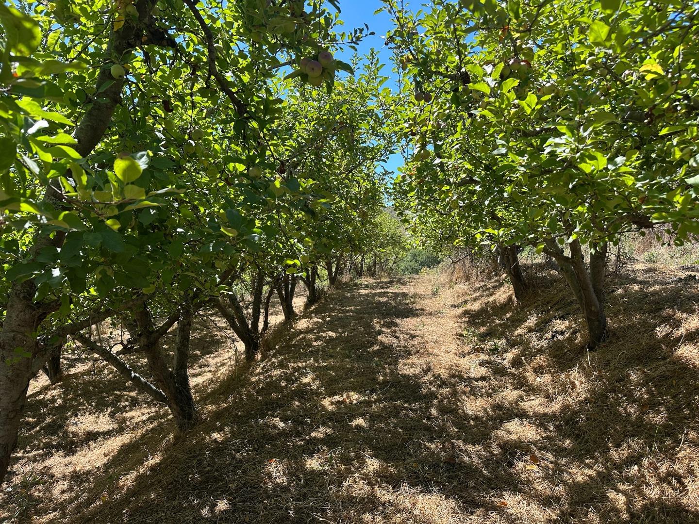 0 Sans Road Watsonville, CA 95076 - Photo 7 of 40