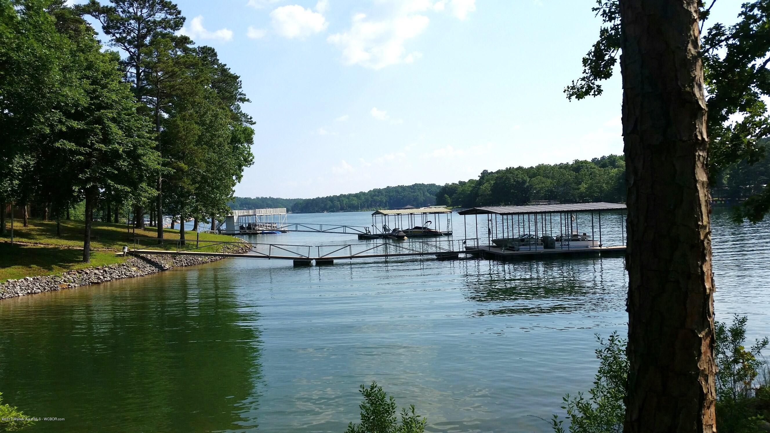 0 Co Road Crane Hill, AL 35053 - Photo 5 of 10 Gallery Image 5