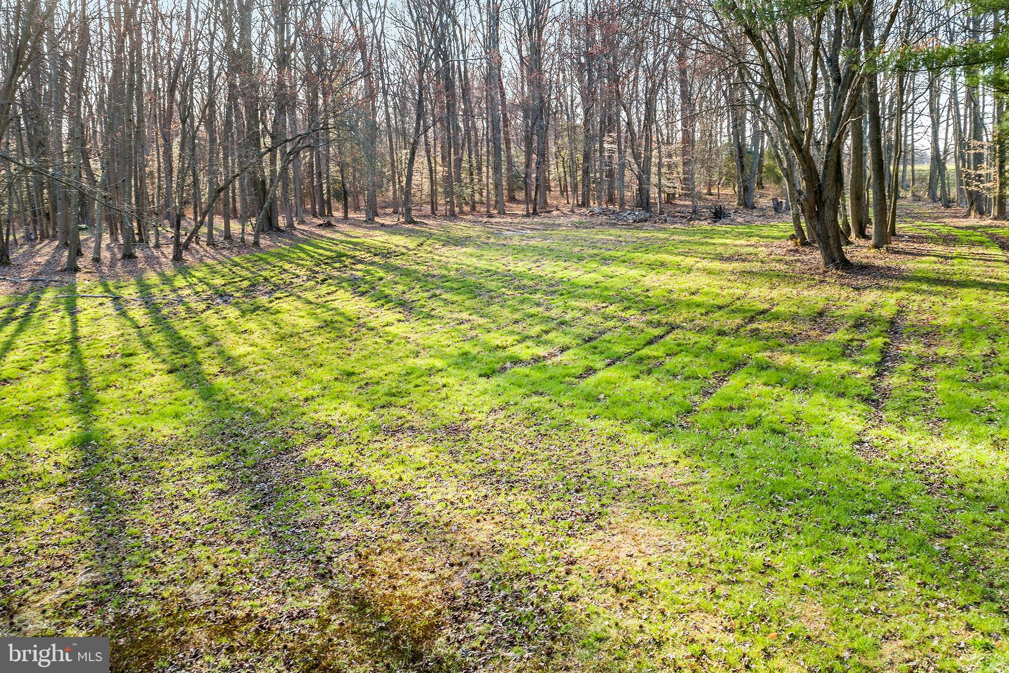 29 Layton Road Pilesgrove, NJ 08098 - Photo 3 of 19
