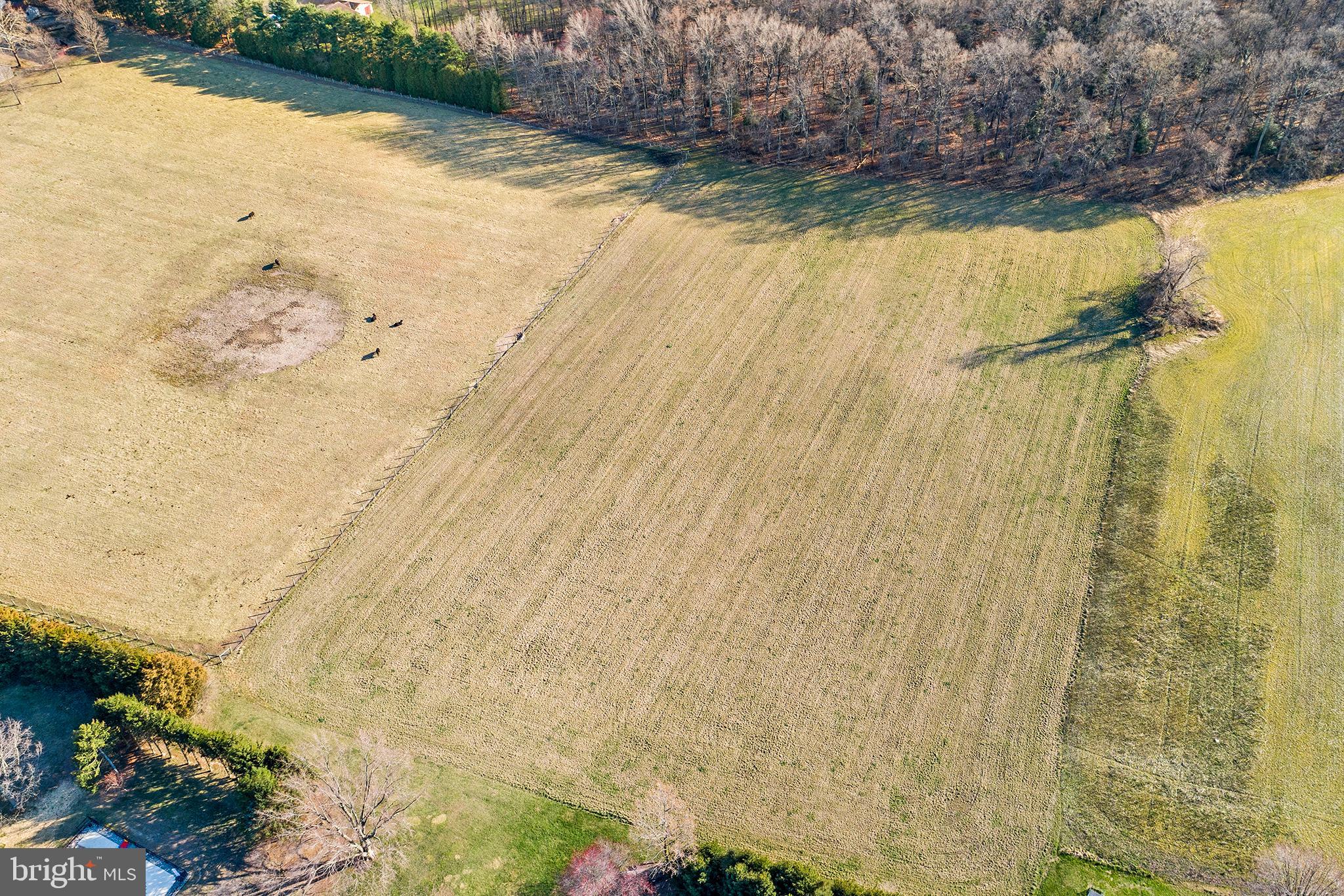 29 Layton Road Pilesgrove, NJ 08098 - Photo 6 of 19