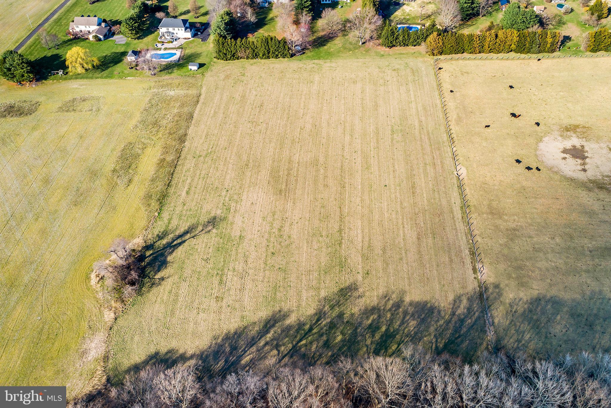 29 Layton Road Pilesgrove, NJ 08098 - Photo 9 of 19