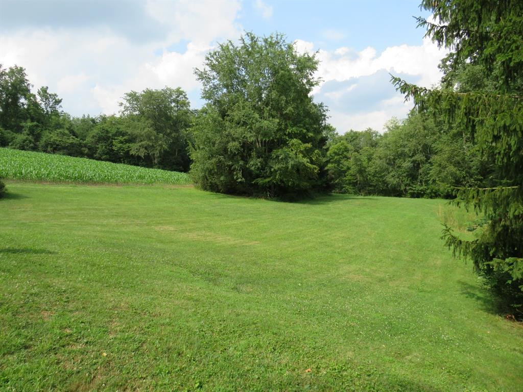435 Hemphill Road Tarentum, PA 15084 - Photo 4 of 30