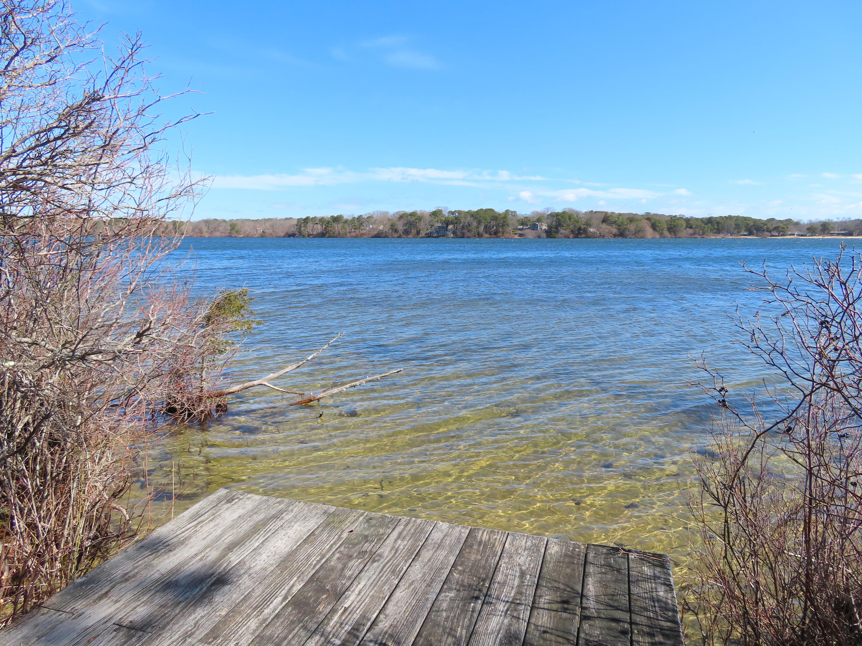 8 Clark's Point Road Eastham, MA 02642 - Photo 32 of 35 Great Pond