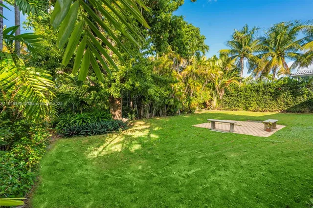 a view of a park with large trees