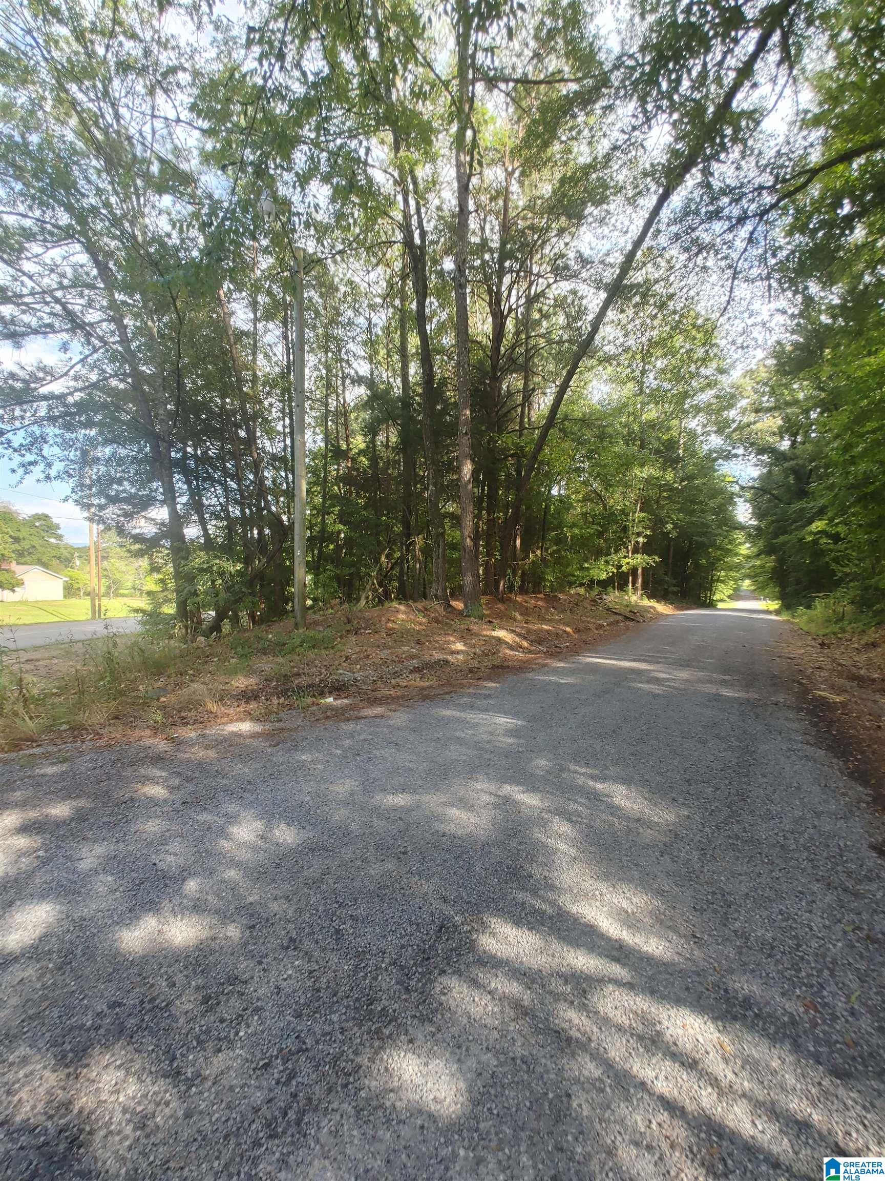 791-5 Dry Valley Road Lincoln, AL 35096 - Photo 3 of 6 Gallery Image 3