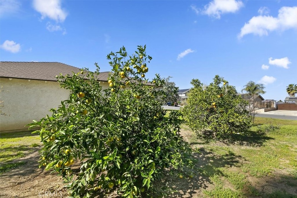 16563 Tava Lane Riverside, CA 92504 - Photo 40 of 43