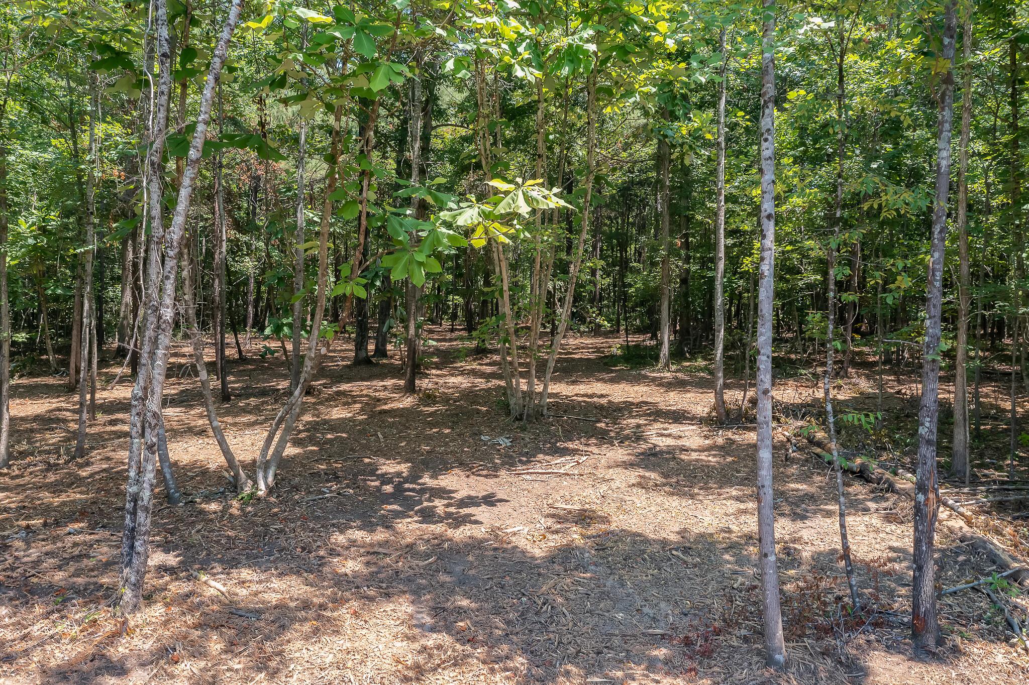 174 County Road Crane Hill, AL 35053 - Photo 10 of 12 Gallery Image 10
