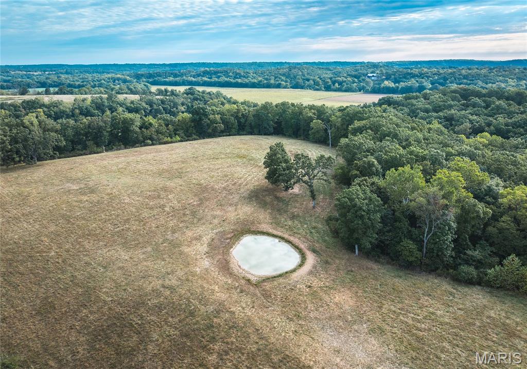 Tbd Ranch Lane Richland, MO 65556 - Photo 13 of 19