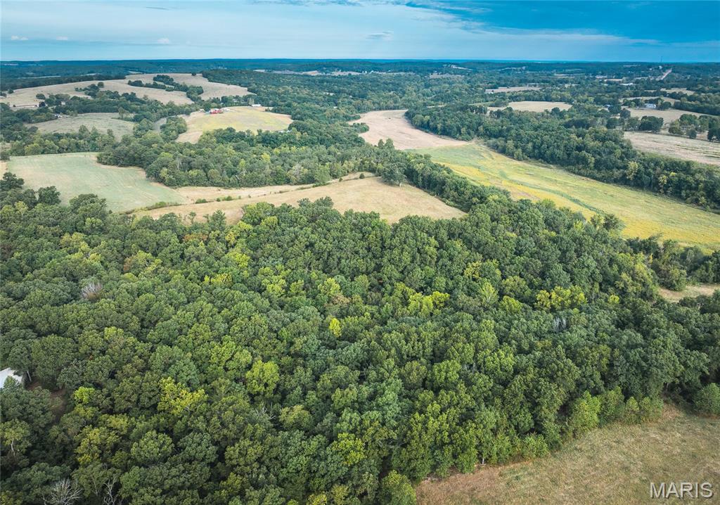 Tbd Ranch Lane Richland, MO 65556 - Photo 2 of 19