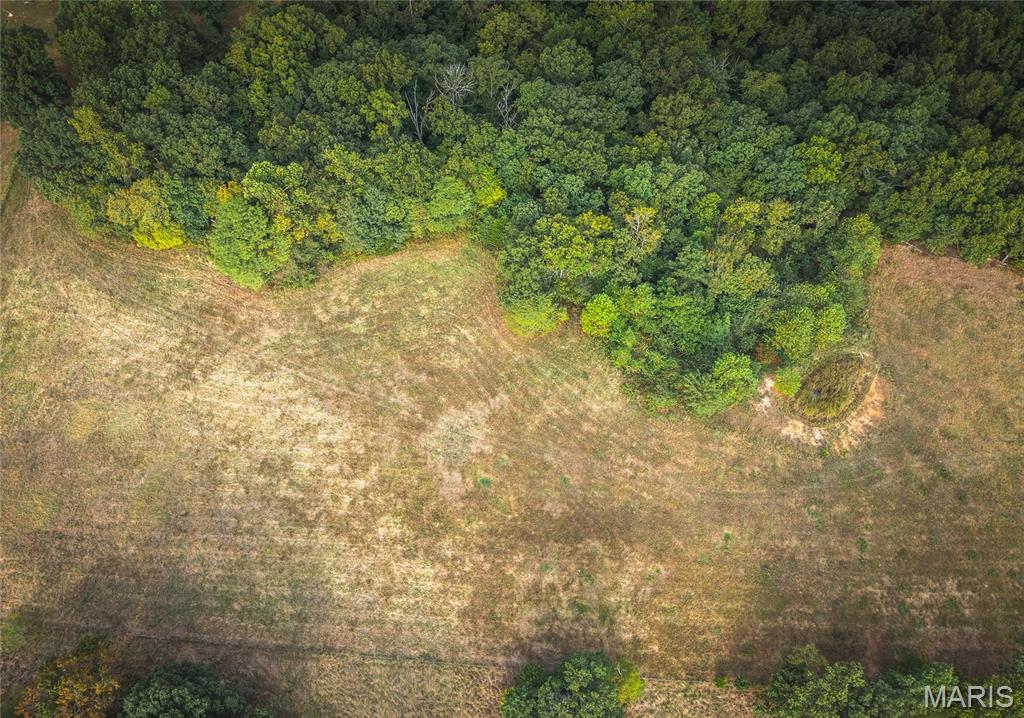 Tbd Ranch Lane Richland, MO 65556 - Photo 4 of 19