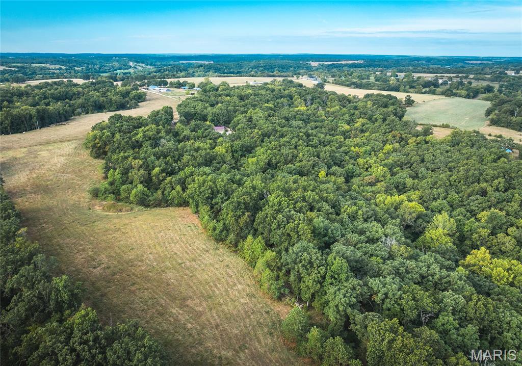 Tbd Ranch Lane Richland, MO 65556 - Photo 6 of 19