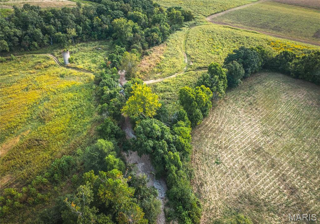 Tbd Ranch Lane Richland, MO 65556 - Photo 9 of 19