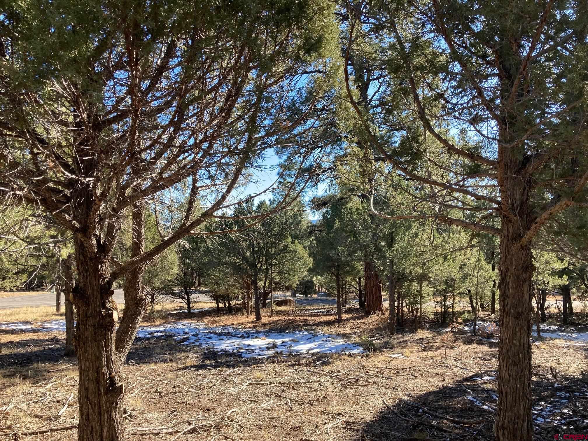 Lot 255 Antler Place Ridgway, CO 81432 - Photo 12 of 18 a view of a tree in the middle of a yard