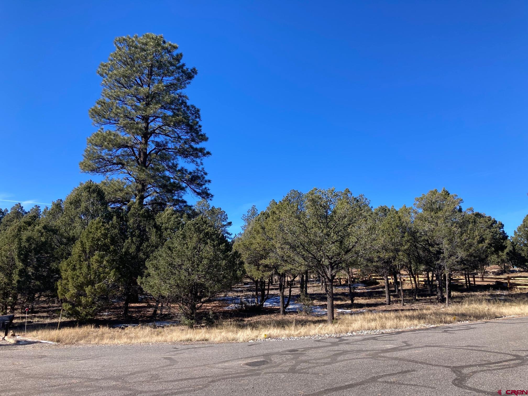 Lot 255 Antler Place Ridgway, CO 81432 - Photo 14 of 18 a view of street with houses