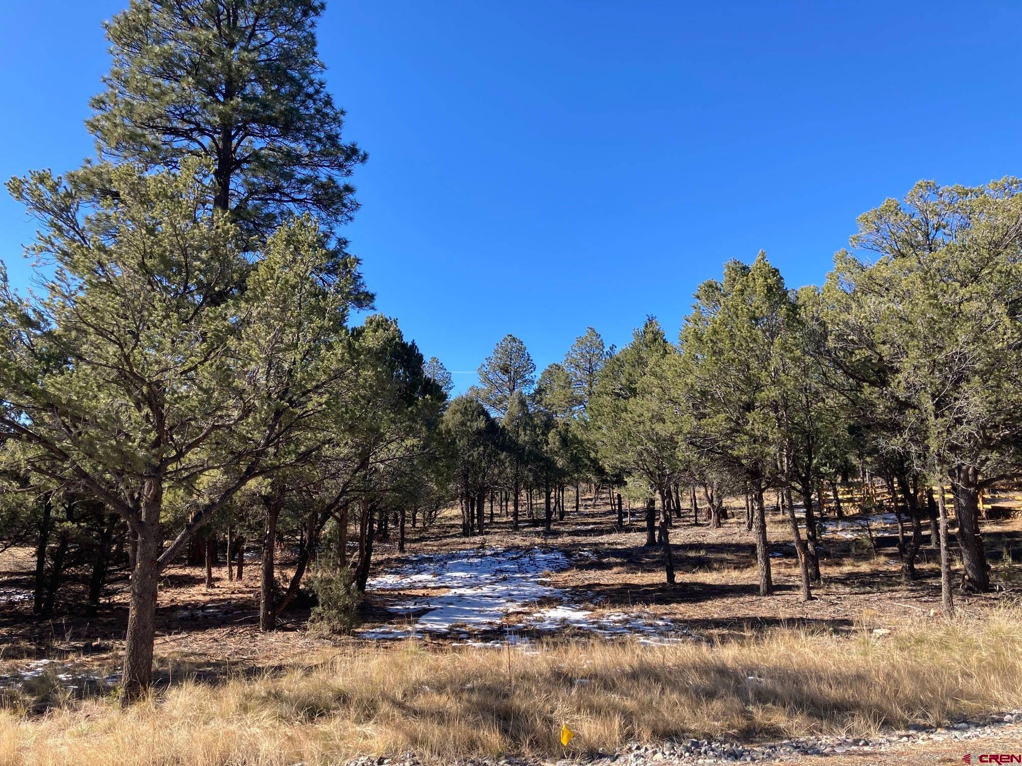 Lot 255 Antler Place Ridgway, CO 81432 - Photo 15 of 18 a view of outdoor space with trees