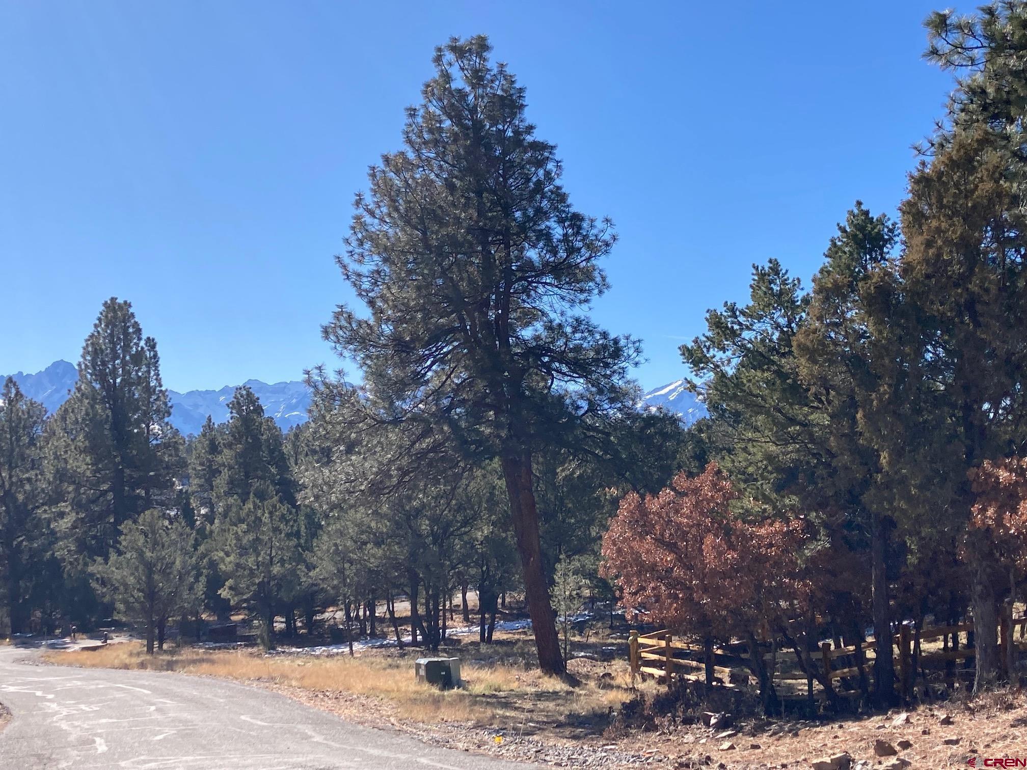 Lot 255 Antler Place Ridgway, CO 81432 - Photo 17 of 18 a view of a yard covered with snow in the middle