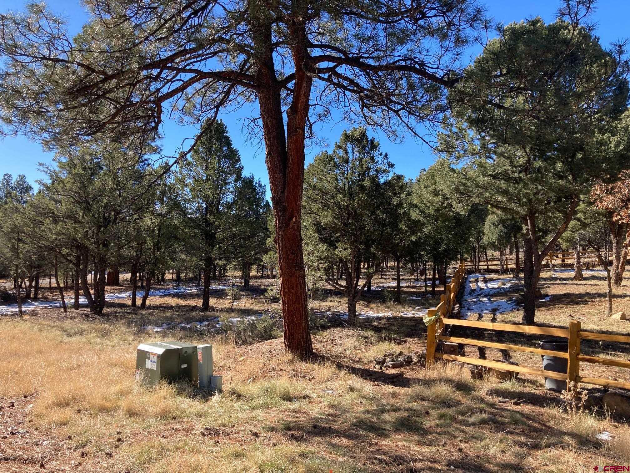 Lot 255 Antler Place Ridgway, CO 81432 - Photo 3 of 18