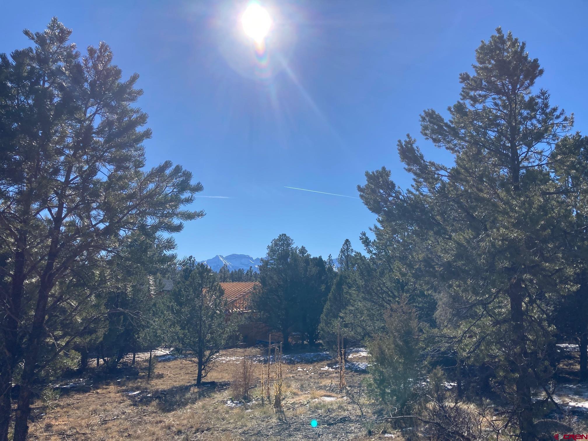 Lot 255 Antler Place Ridgway, CO 81432 - Photo 4 of 18 a view of a dry yard with lots of trees