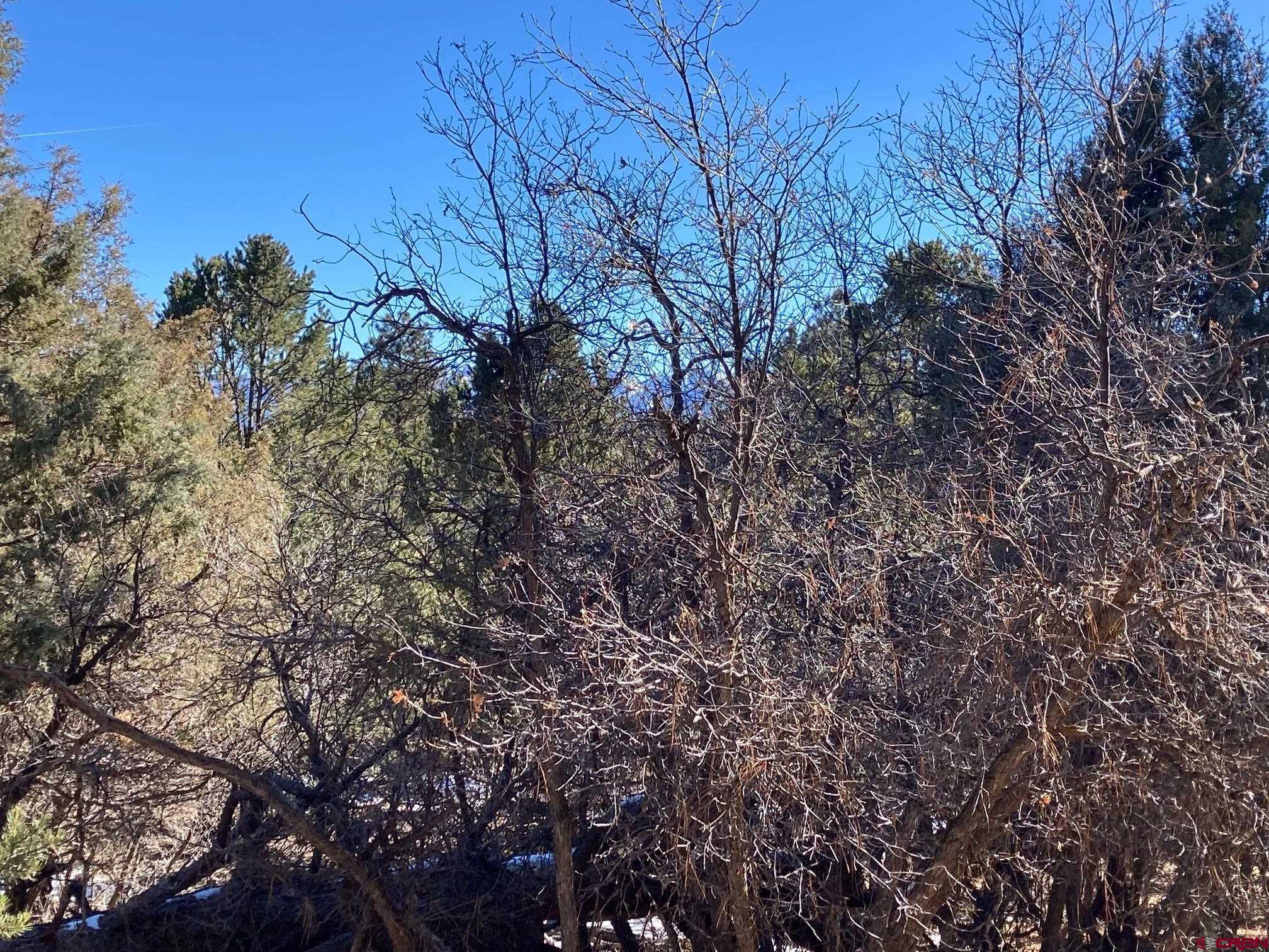 Lot 255 Antler Place Ridgway, CO 81432 - Photo 7 of 18