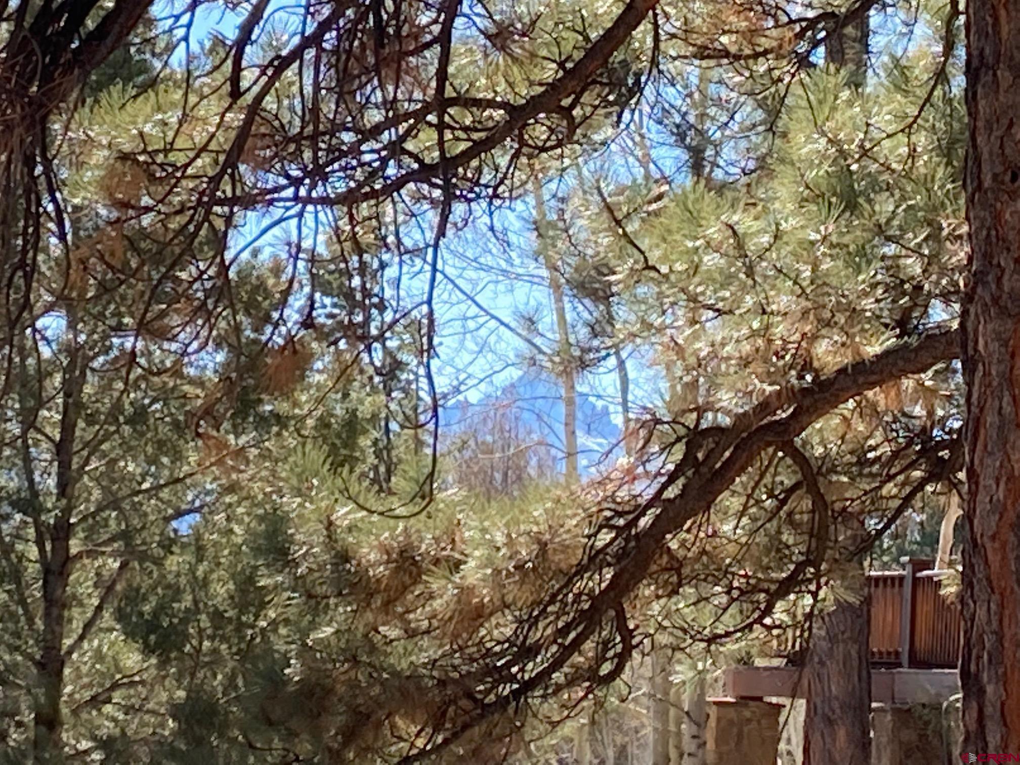 Lot 255 Antler Place Ridgway, CO 81432 - Photo 8 of 18 a view of tree covered with snow in front of house