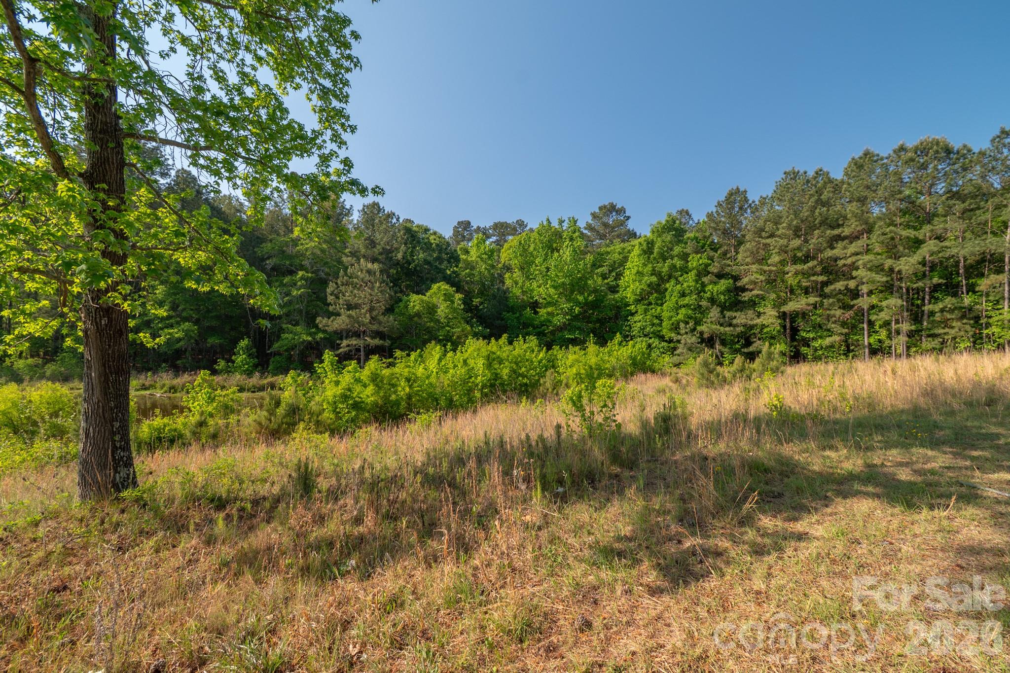 0 Potter Road Lancaster, SC 29720 - Photo 1 of 37