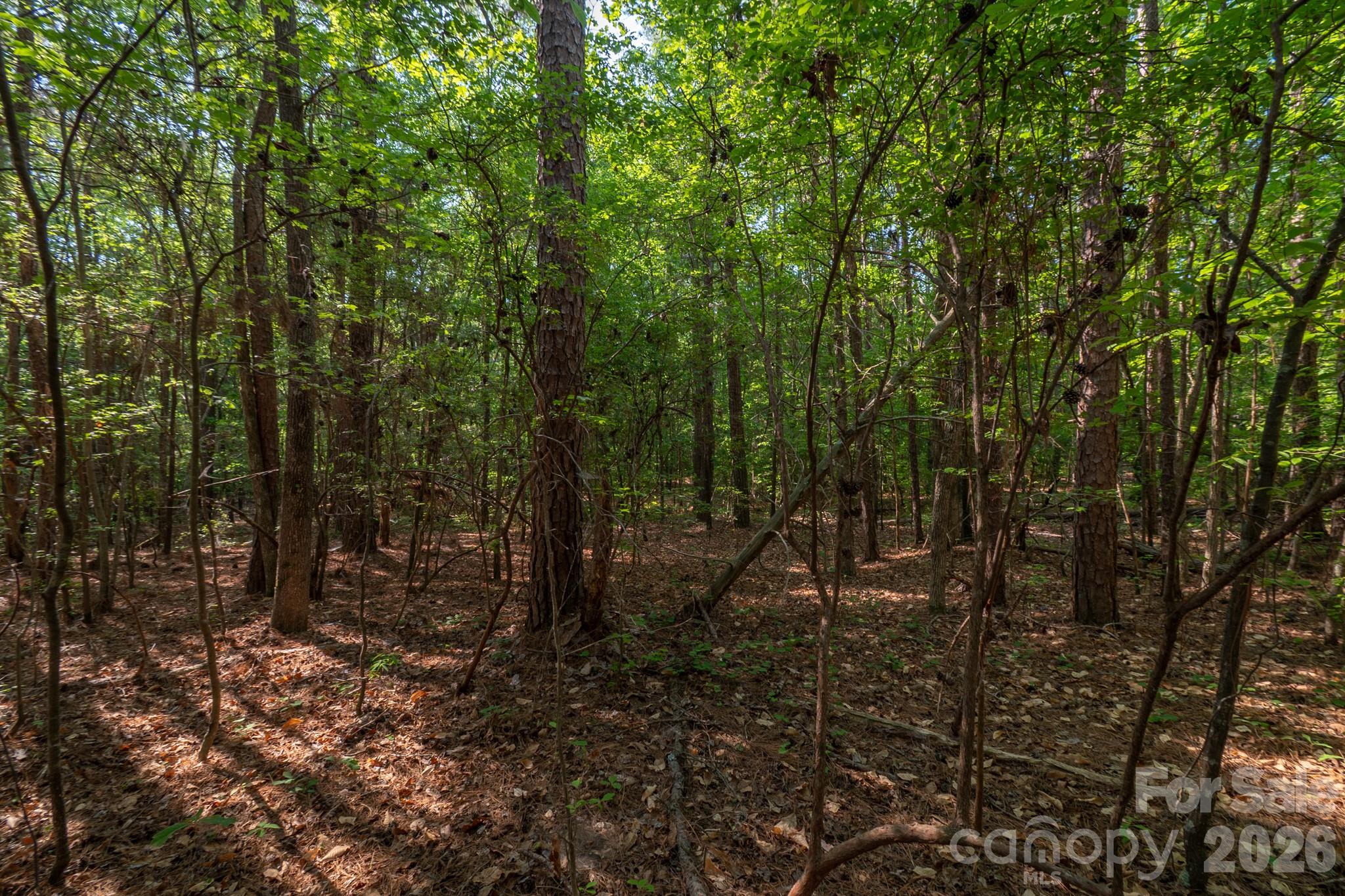 0 Potter Road Lancaster, SC 29720 - Photo 11 of 37