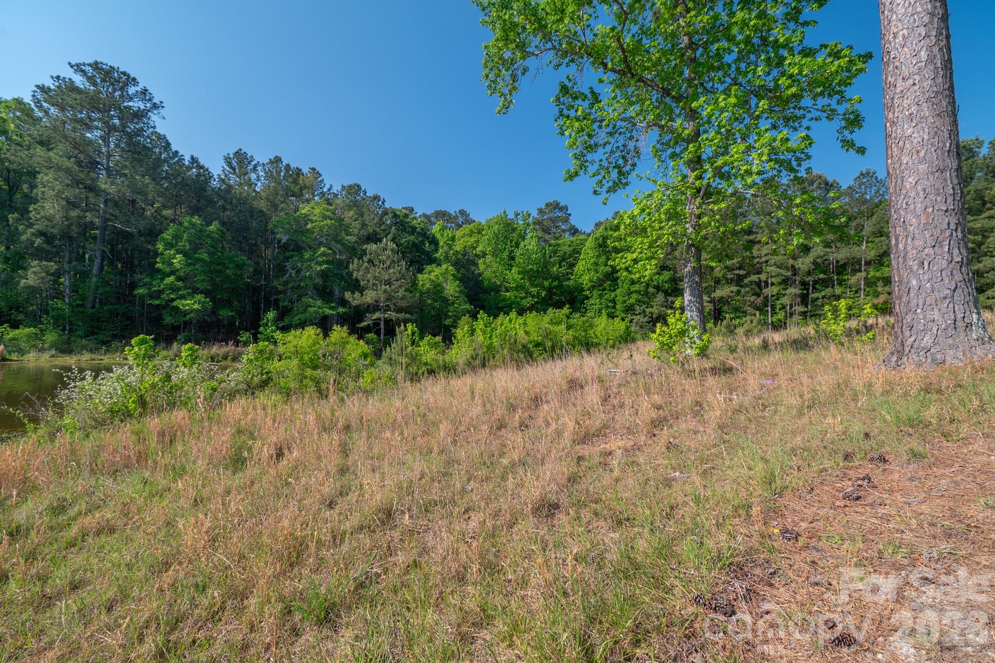 0 Potter Road Lancaster, SC 29720 - Photo 2 of 37