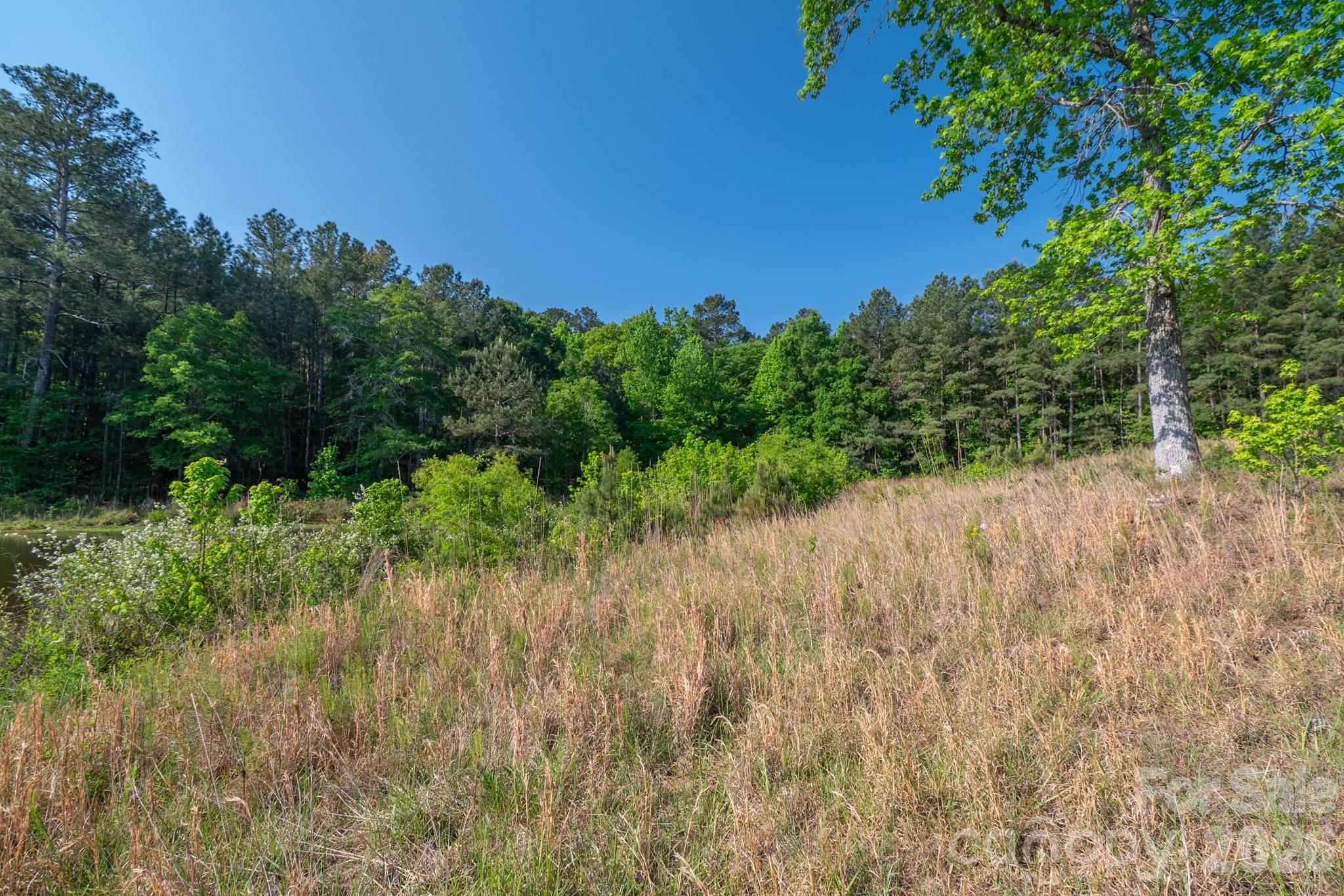 0 Potter Road Lancaster, SC 29720 - Photo 3 of 37