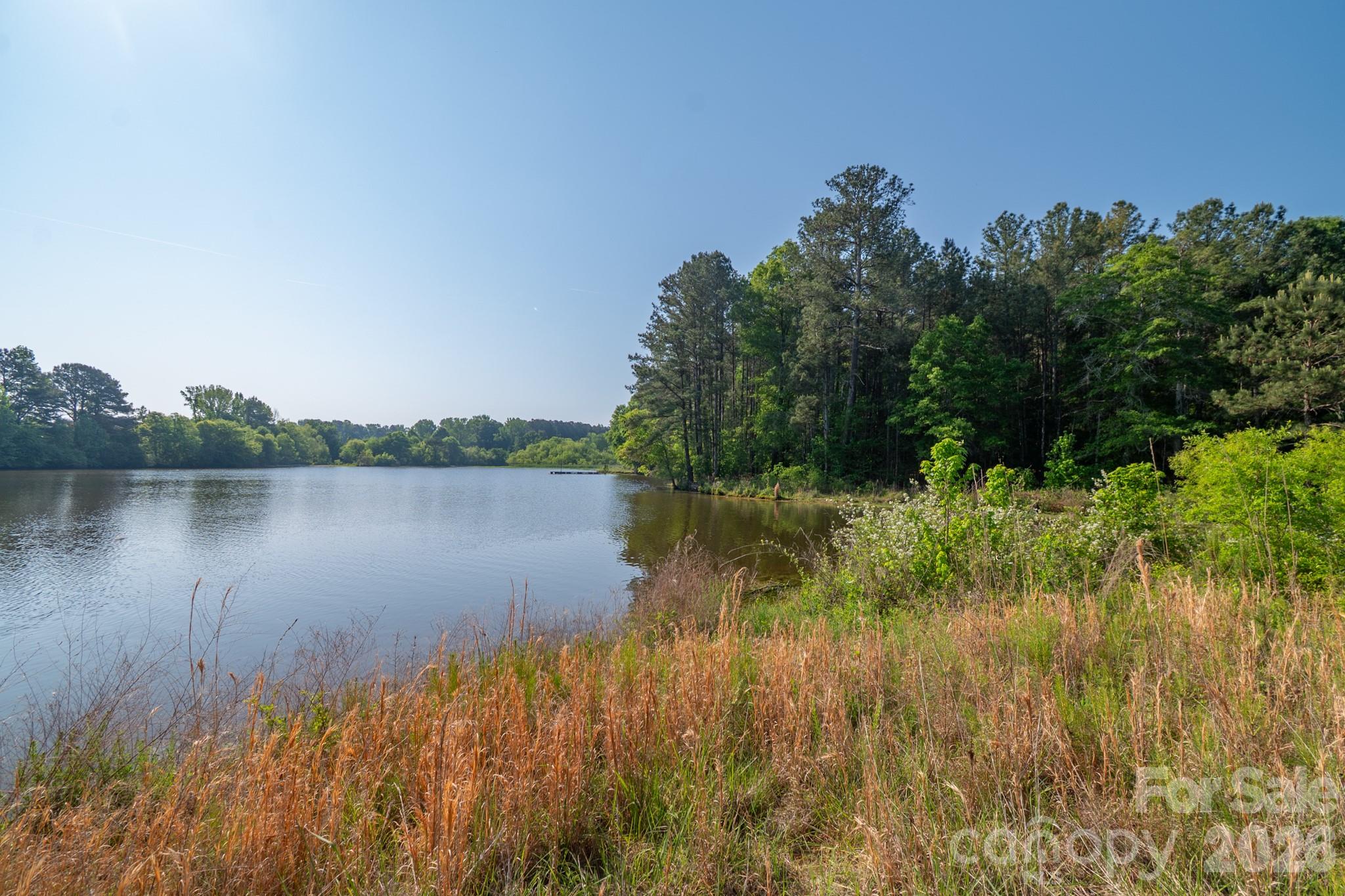 0 Potter Road Lancaster, SC 29720 - Photo 4 of 37