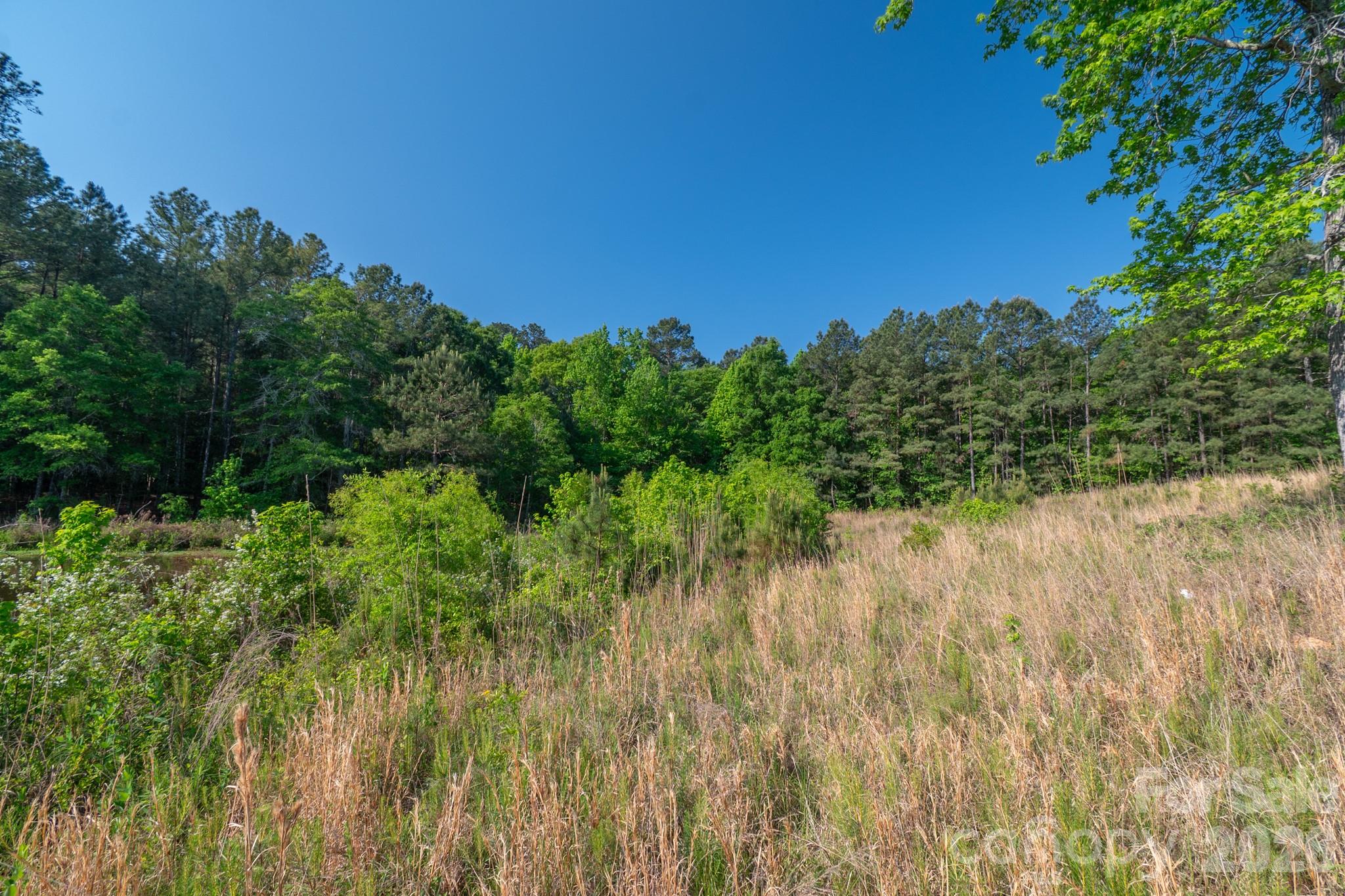 0 Potter Road Lancaster, SC 29720 - Photo 5 of 37