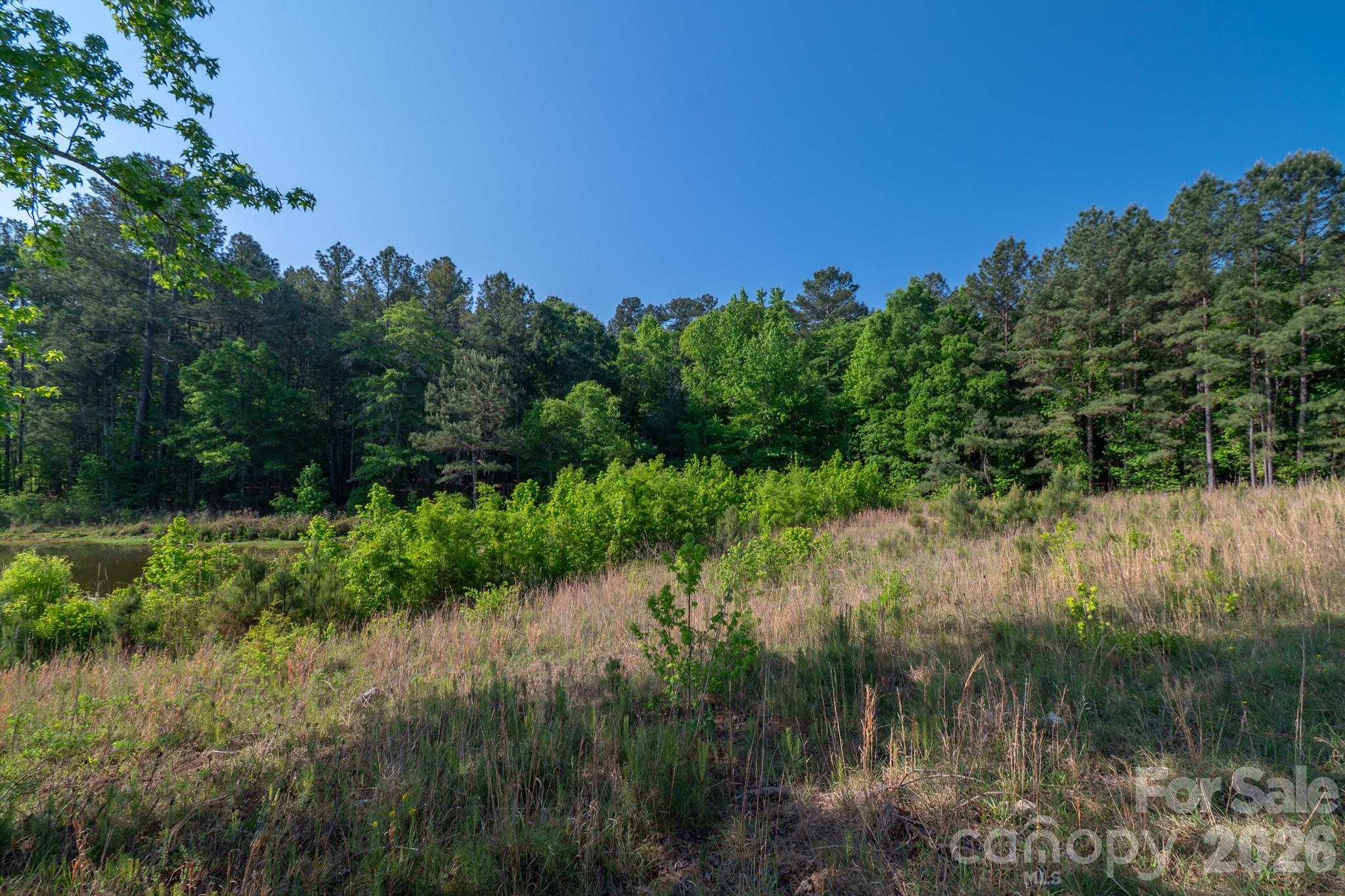0 Potter Road Lancaster, SC 29720 - Photo 6 of 37