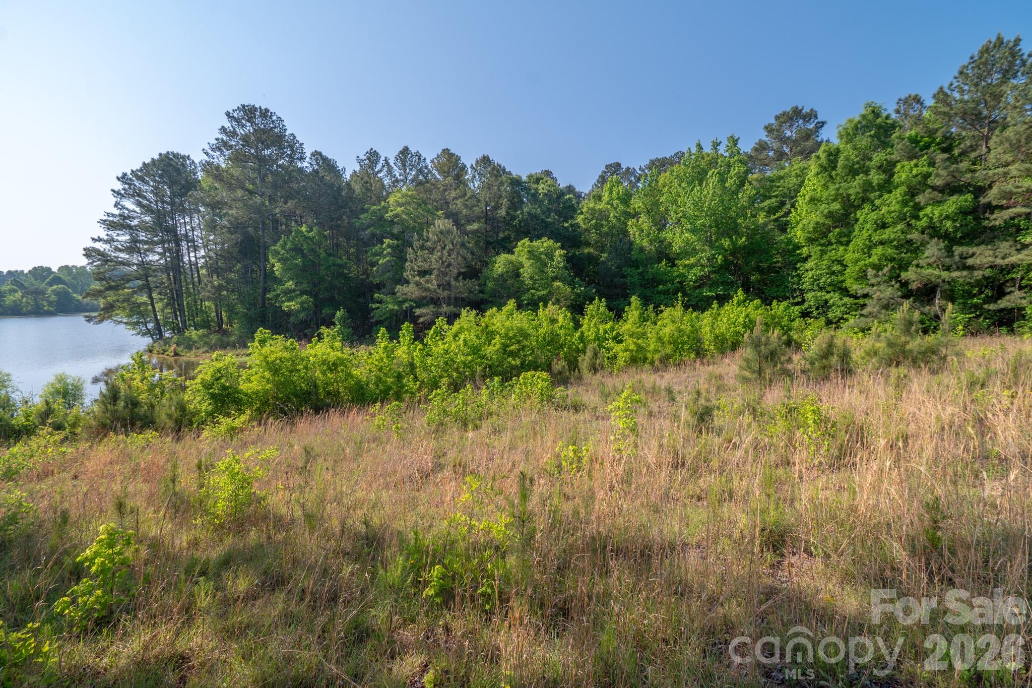 0 Potter Road Lancaster, SC 29720 - Photo 7 of 37
