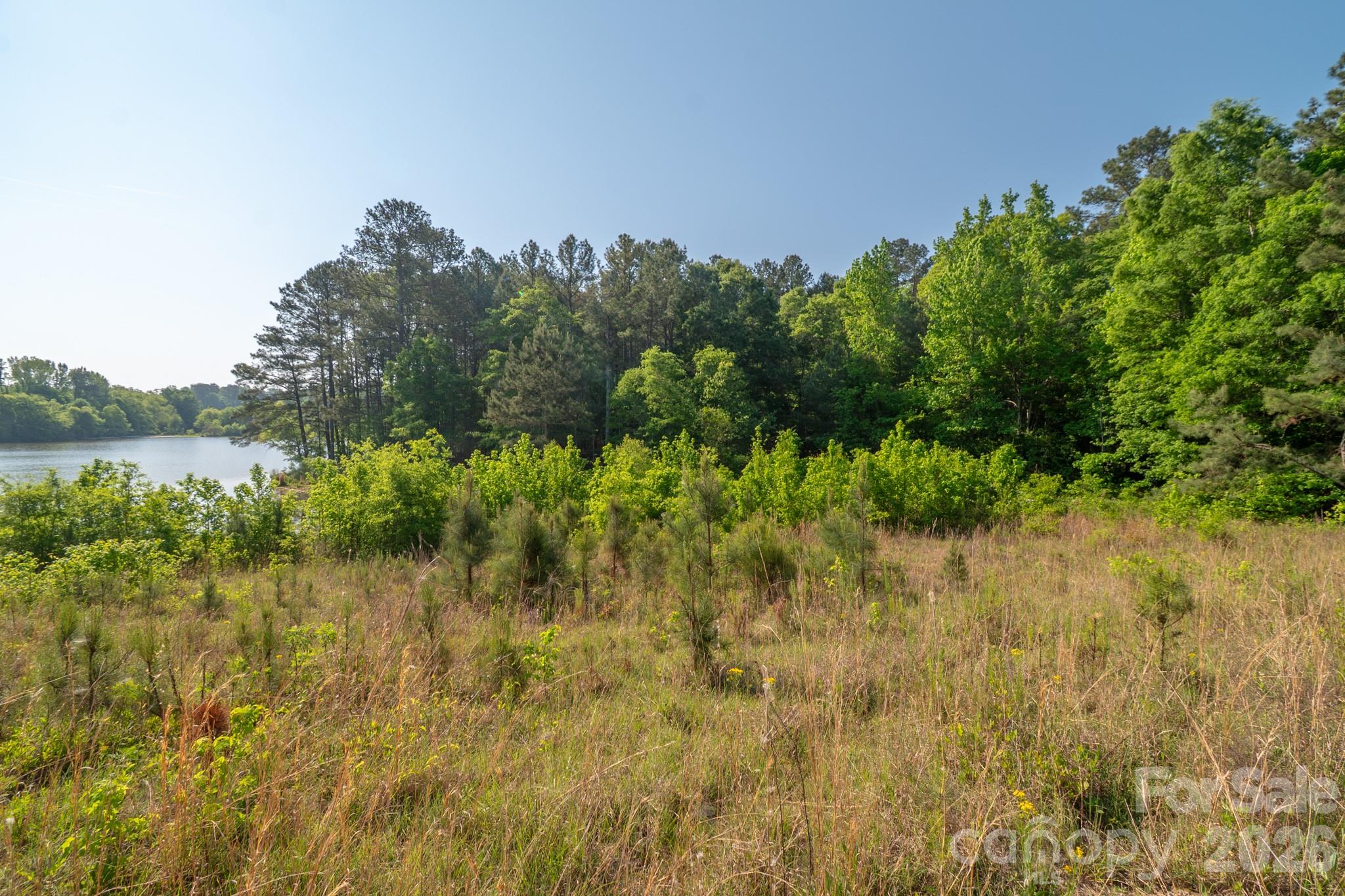 0 Potter Road Lancaster, SC 29720 - Photo 8 of 37