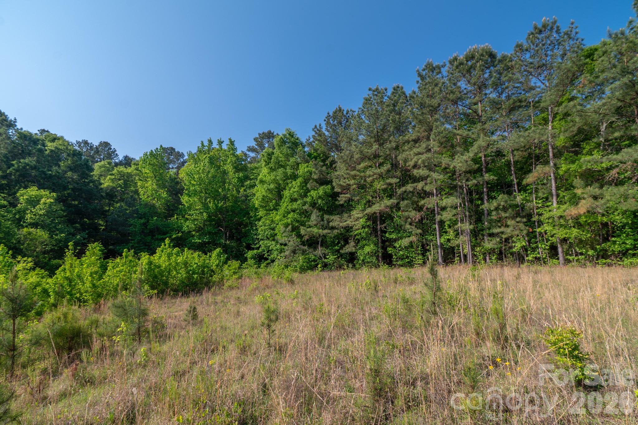0 Potter Road Lancaster, SC 29720 - Photo 9 of 37