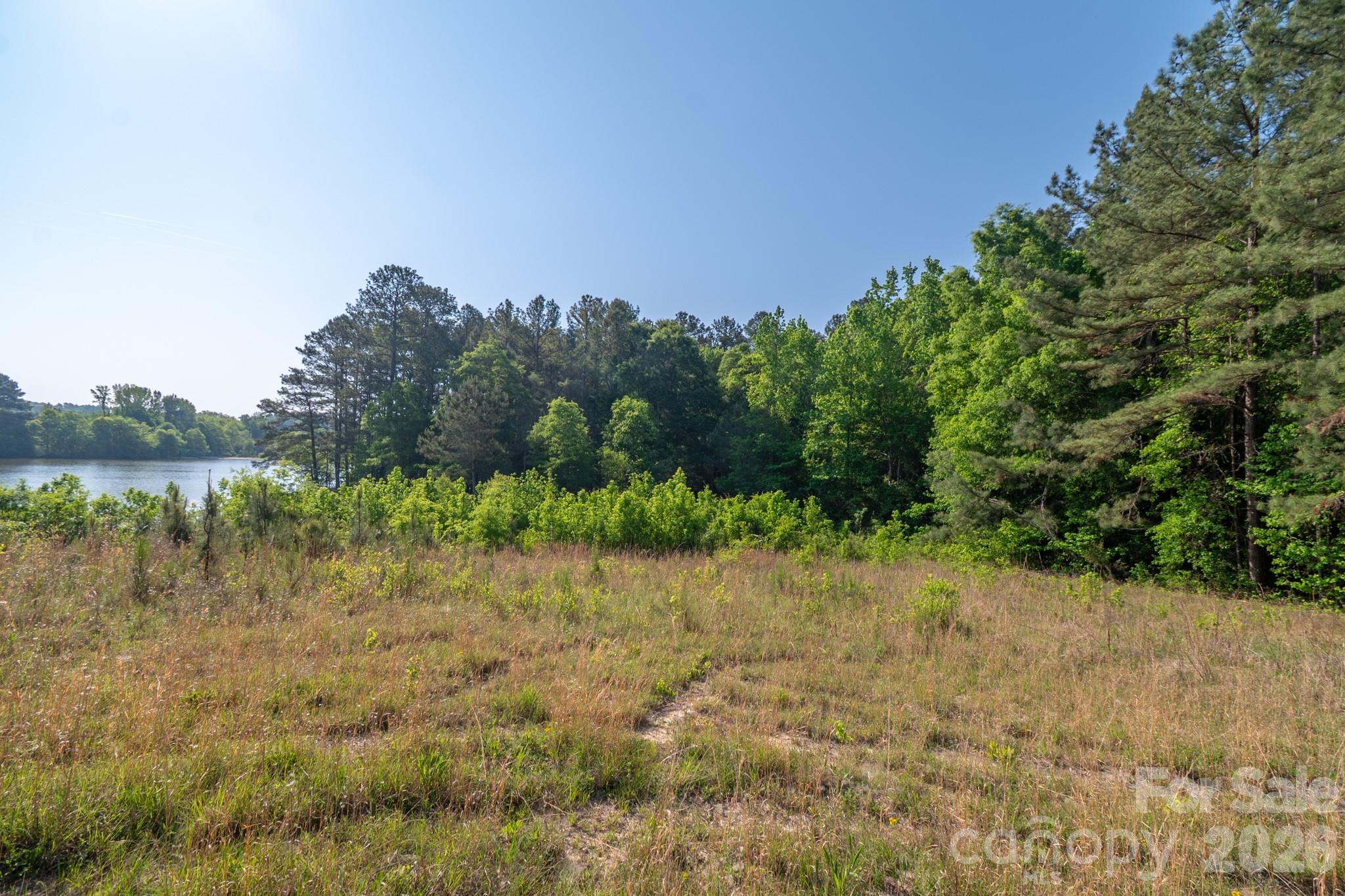 0 Potter Road Lancaster, SC 29720 - Photo 10 of 37