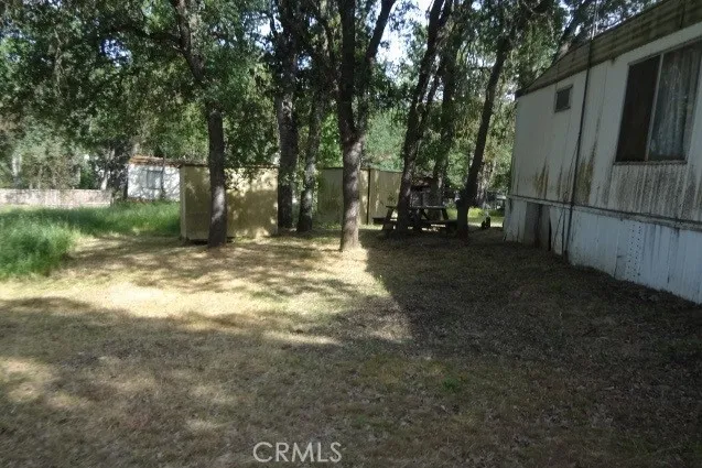 a view of a yard with a tree