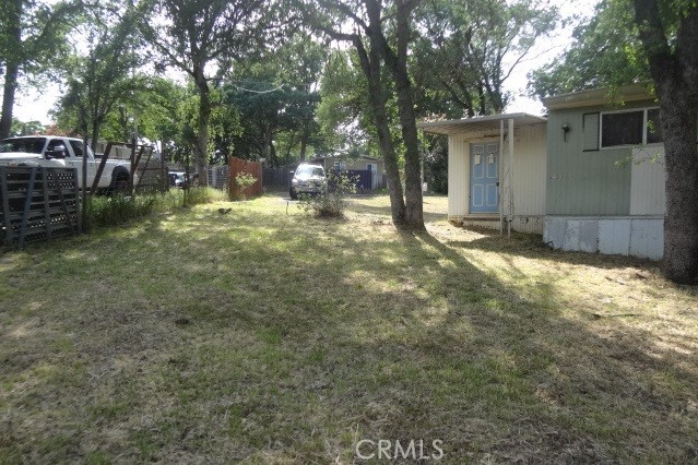 9216 Pebble Road Lower Lake, CA 95457 - Photo 13 of 14 a view of a yard with a tree