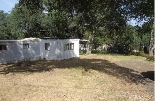 a view of a yard with large tree