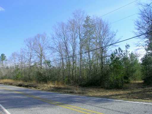 10 Acres Bexley Road Lucedale, MS 39452 - Photo 6 of 6 Additional Photo