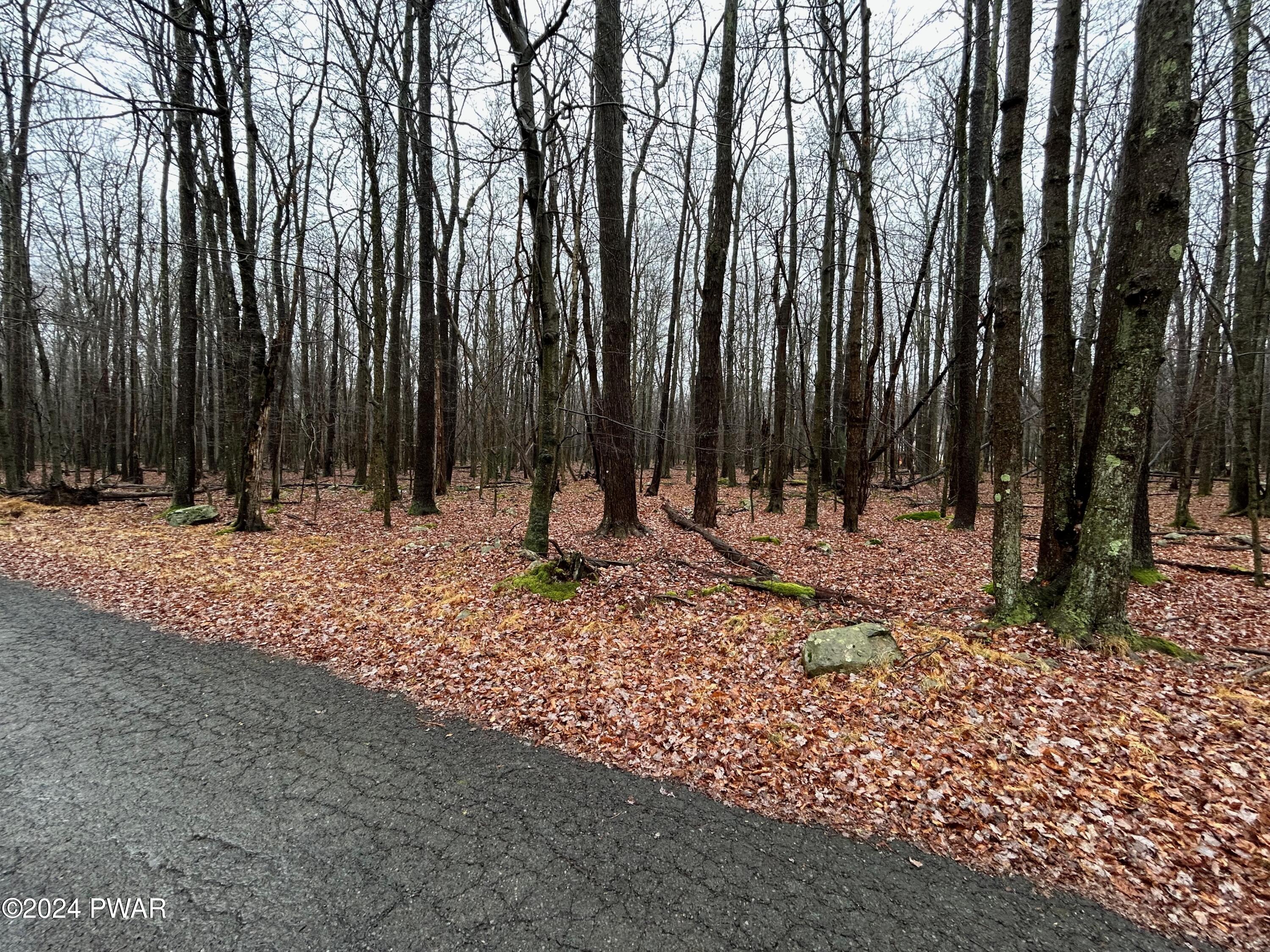 Lot 42 Beaver Run Road Newfoundland, PA 18445 - Photo 8 of 12