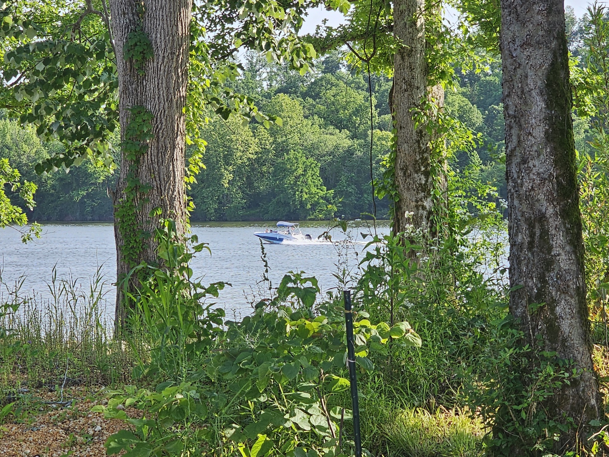 835 Hardin Bottom River Road Clifton, TN 38425 - Photo 5 of 27 Gallery Image 5