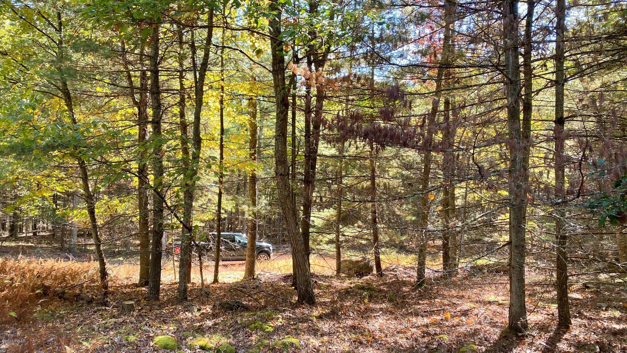 10 Deer Hollow Road Greentown, PA 18426 - Photo 4 of 8