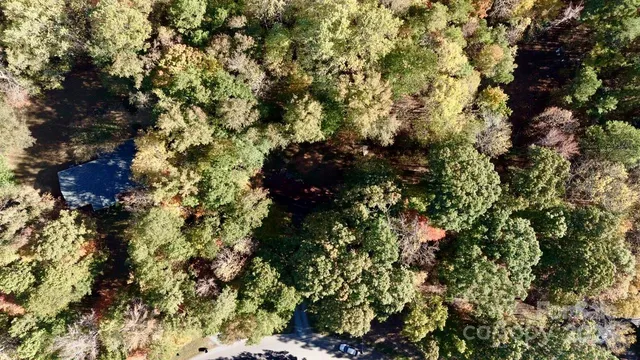 a view of outdoor space and tree