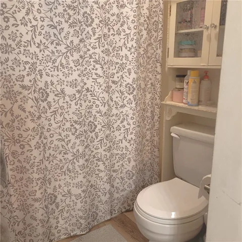 a white toilet sitting next to a shower curtain